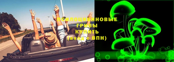 Альфа ПВП Аркадак