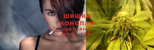 Альфа ПВП Аркадак