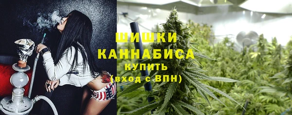Альфа ПВП Аркадак