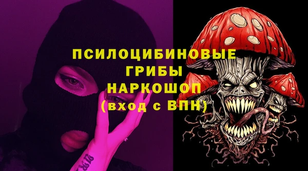 Альфа ПВП Аркадак
